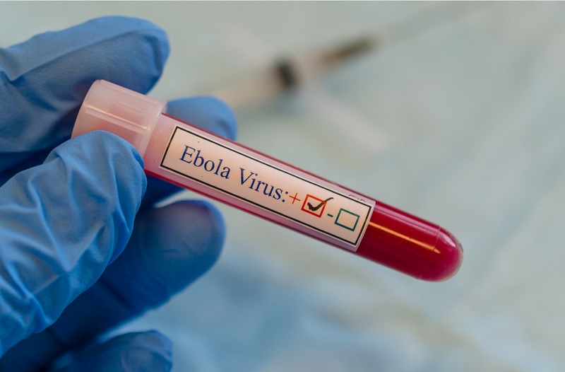 Mengenal Ebola Virus