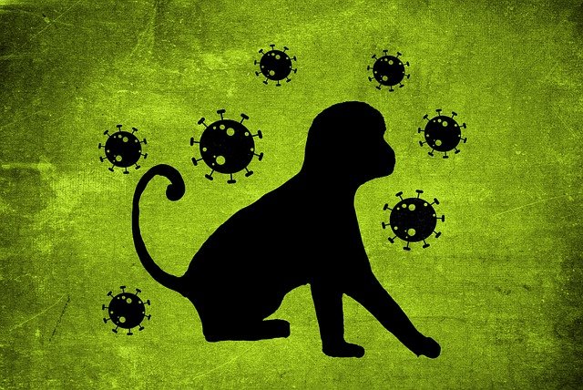 Fakta Vaksin Cacar Monyet yang Perlu Kamu Ketahui