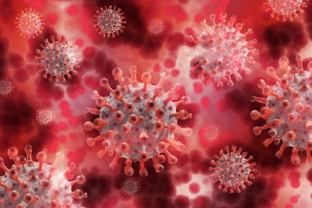 Echovirus 11 Merebak di Eropa, Bagaimana Indonesia?