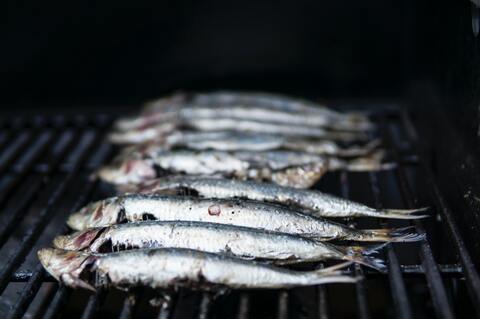 Kaya Protein, Ini Manfaat Ikan Shisamo yang Viral | WeCare.id