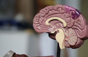 Apakah Penderita Lumpuh Otak Bisa Sembuh Total? | WeCare.id