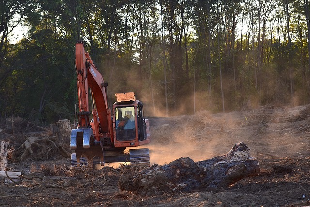 Deforestasi Akibat Pembangunan IKN: Realitas di Balik Klaim Kota Hutan