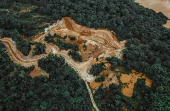 Bahaya Deforestasi Mengintai Pulau-Pulau Papua | WeCare.id