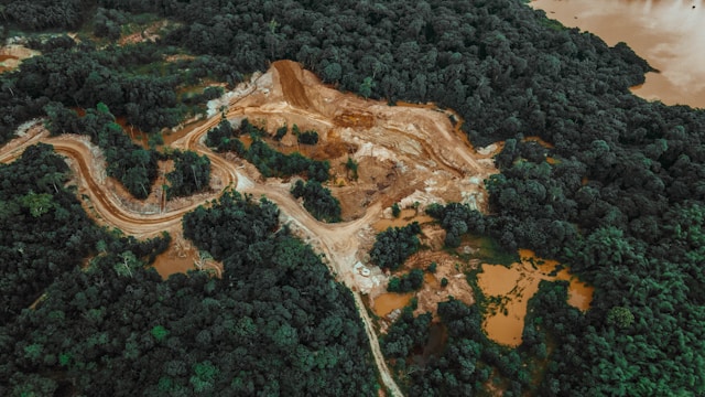 Bahaya Deforestasi Mengintai Pulau-Pulau Papua