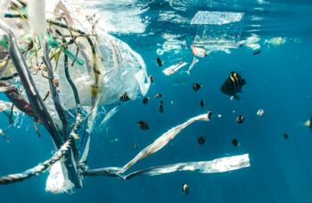 Dampak Zero Waste Lifestyle bagi Kesehatan Lingkungan | WeCare.id