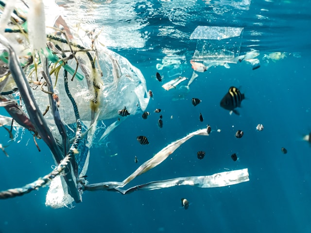 Dampak Zero Waste Lifestyle bagi Kesehatan Lingkungan